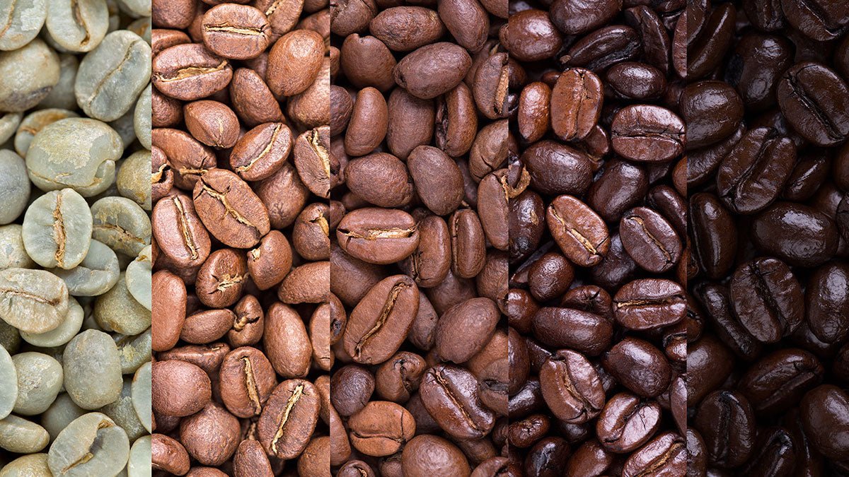 Coffee Roasts – Everything You Need to Know - GothRider Brand